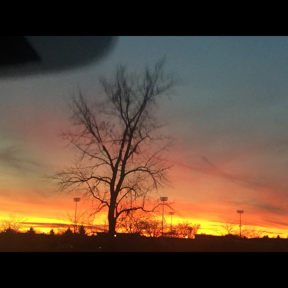 Meet your Posher, Angie